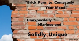 Brick Puns