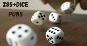 dice puns