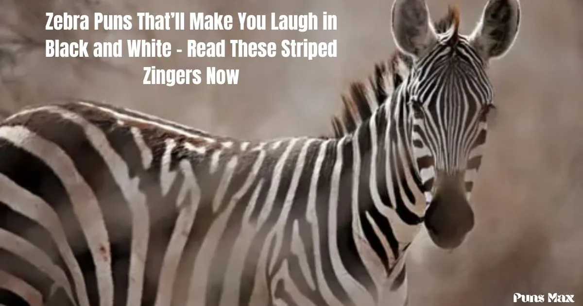 zebra puns