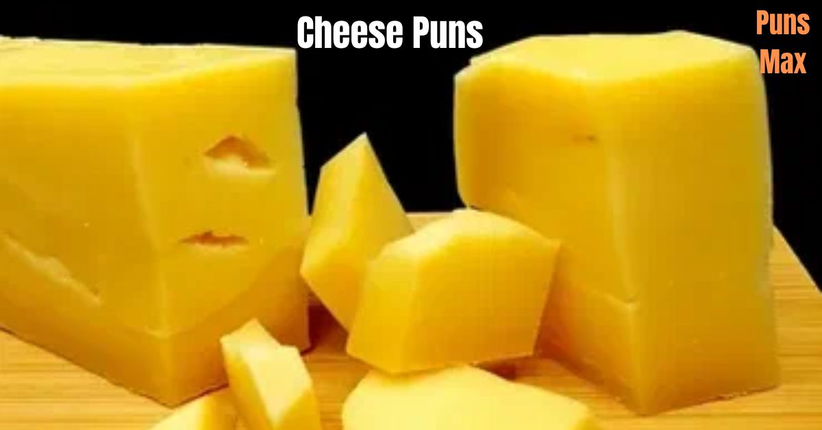 Cheese Puns
