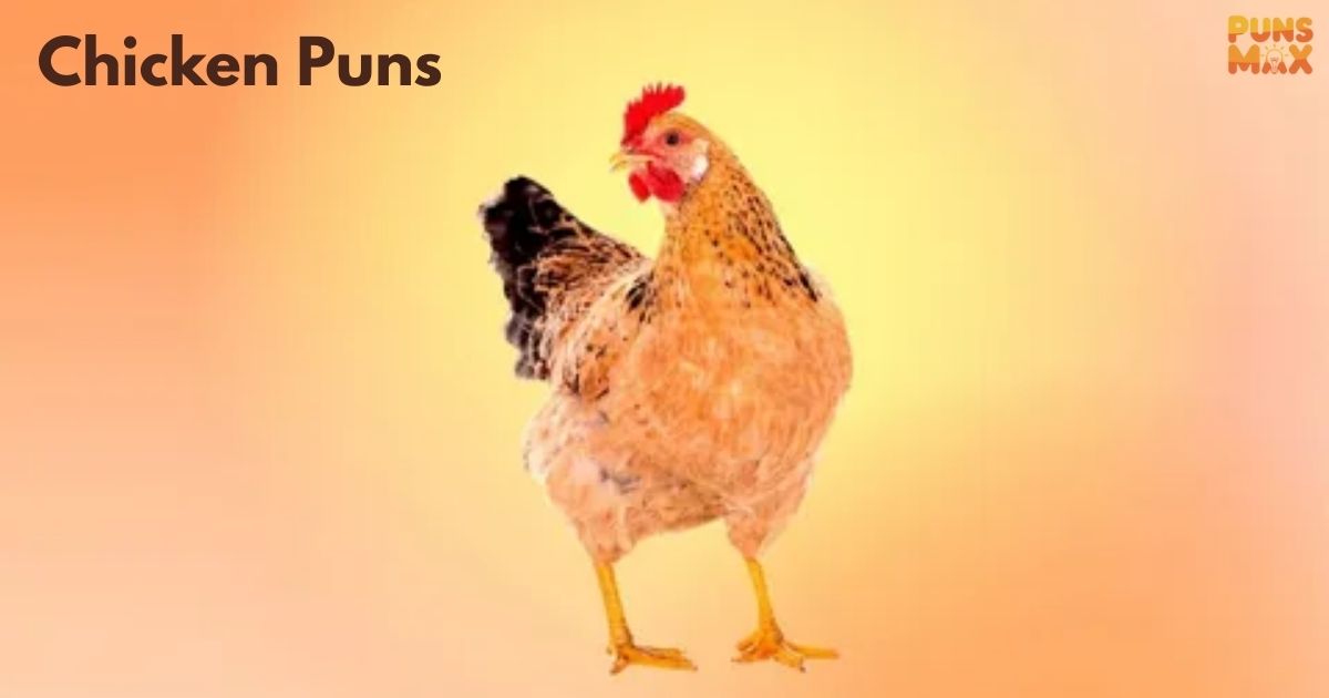Chicken Puns
