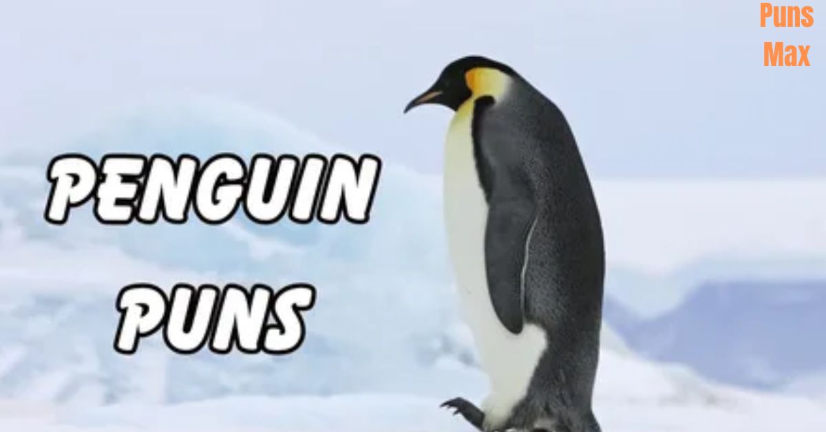 Penguin Puns