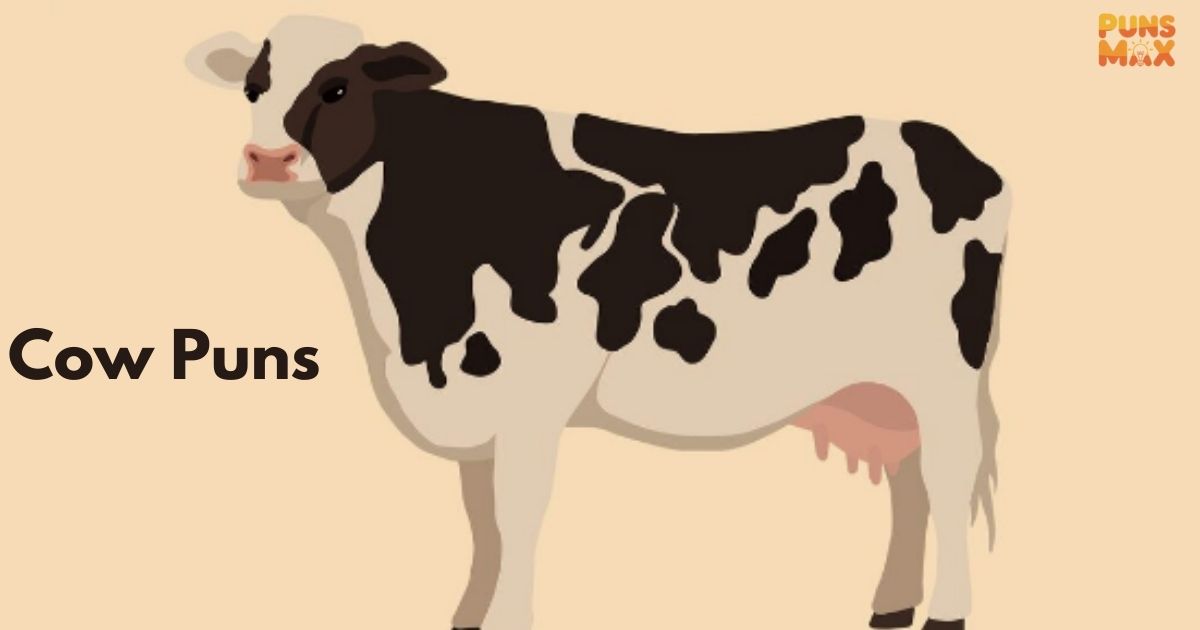 cow puns