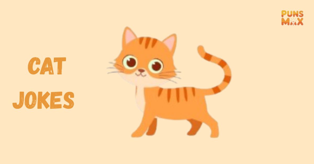 Cat Jokes