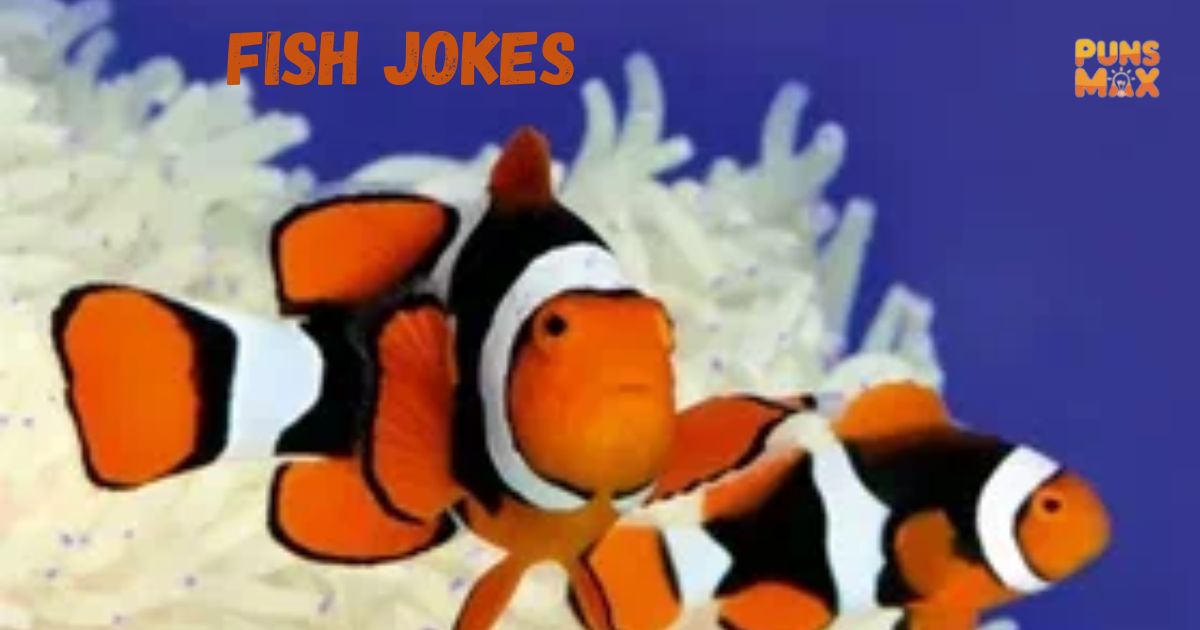 Fish Jokes