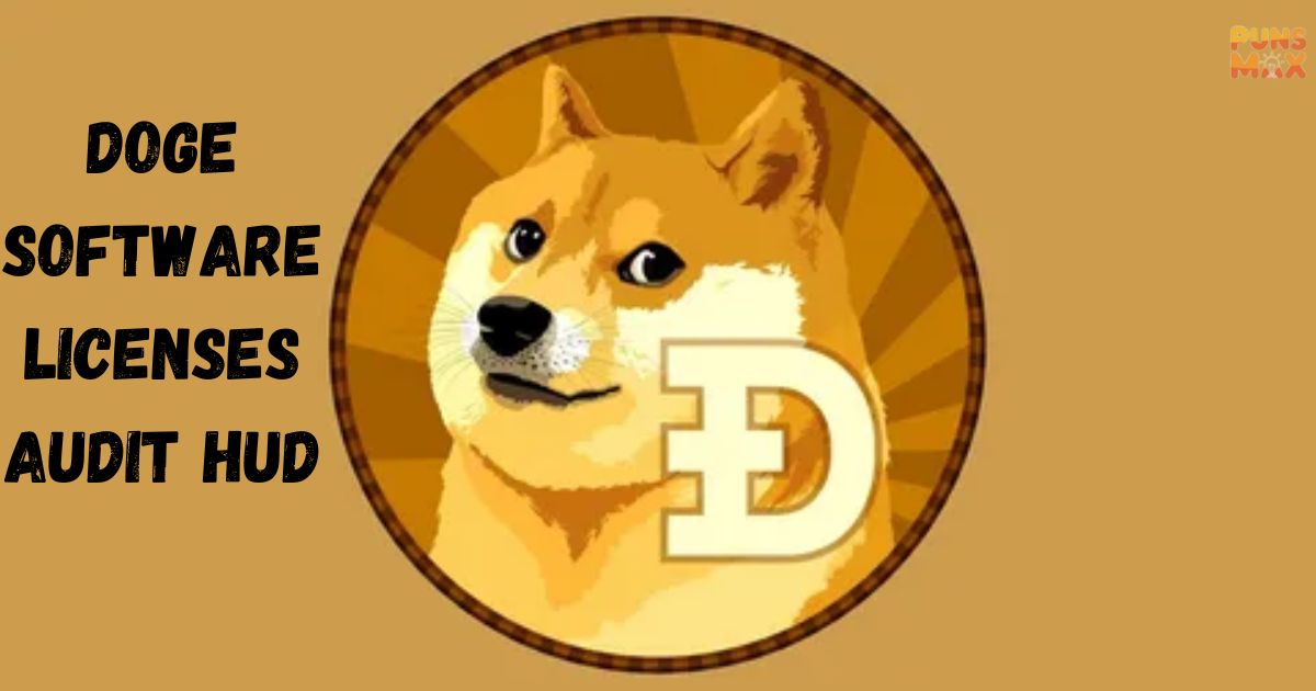 Doge Software Licenses Audit HUD