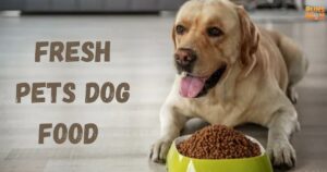 Fresh Pets Dog Food