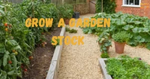 Grow a Garden Stock