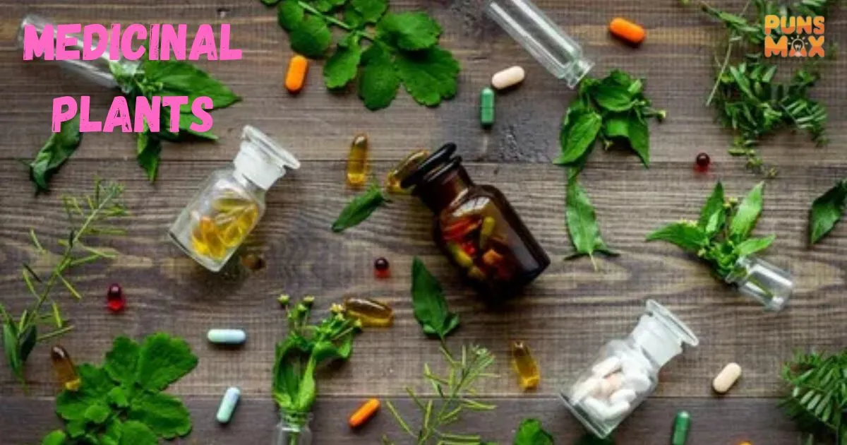 Medicinal Plants