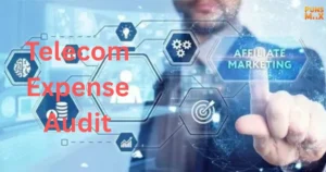 Telecom Expense Audit
